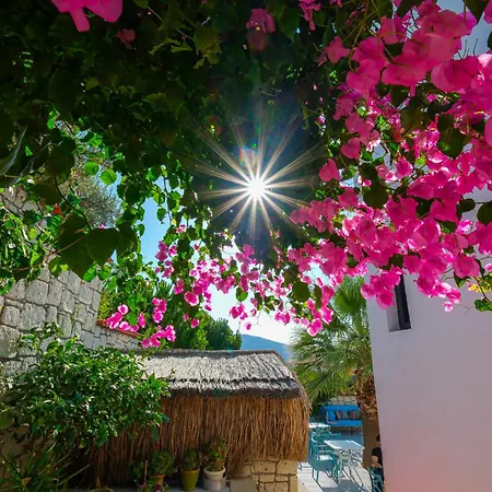 Kybele Alacati Izmir